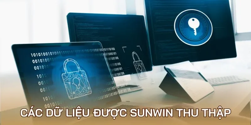 Các dữ liệu được Sunwin thu thập